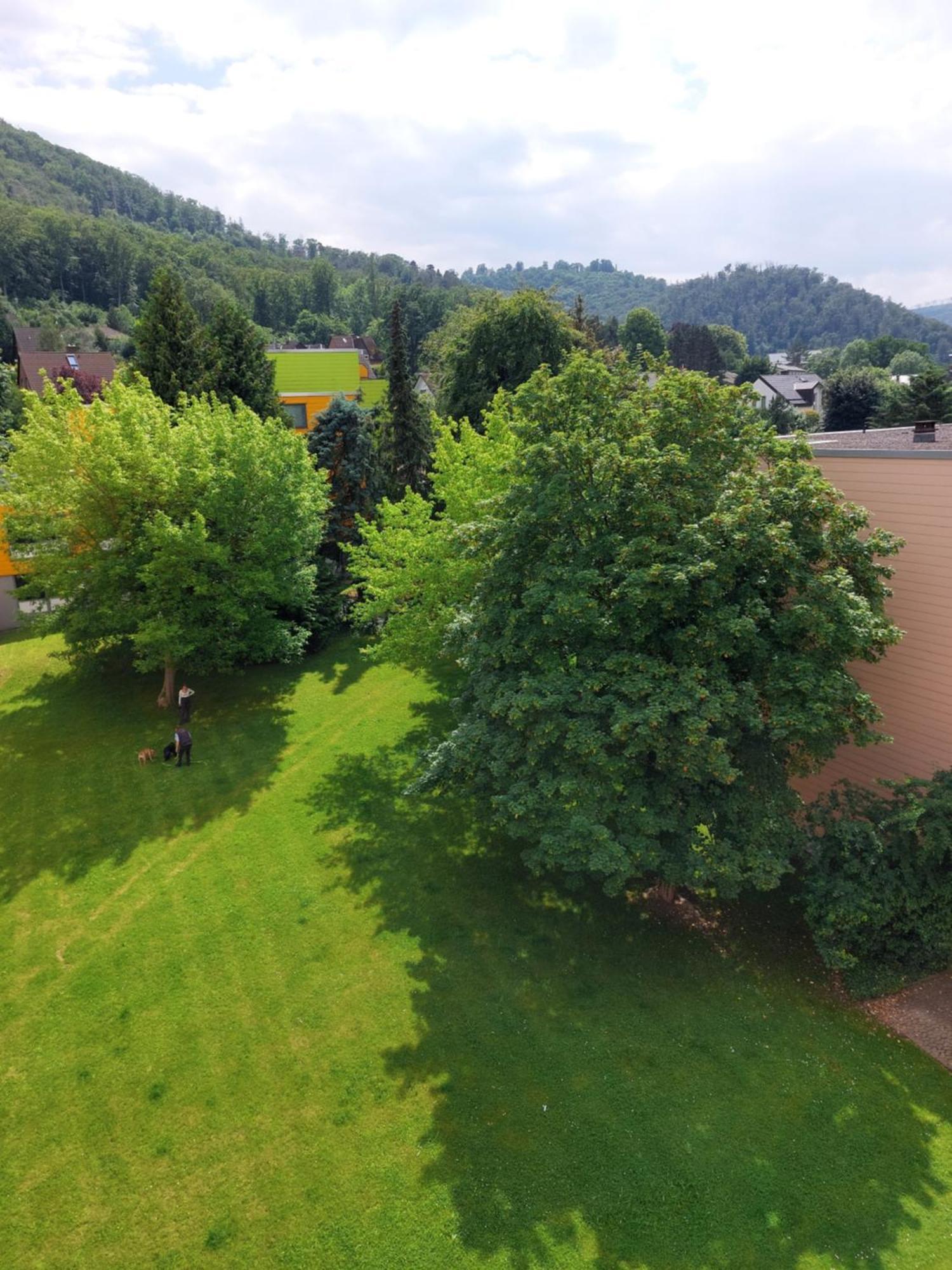 Burgberg-Blick Apartment Bad Harzburg Exterior photo